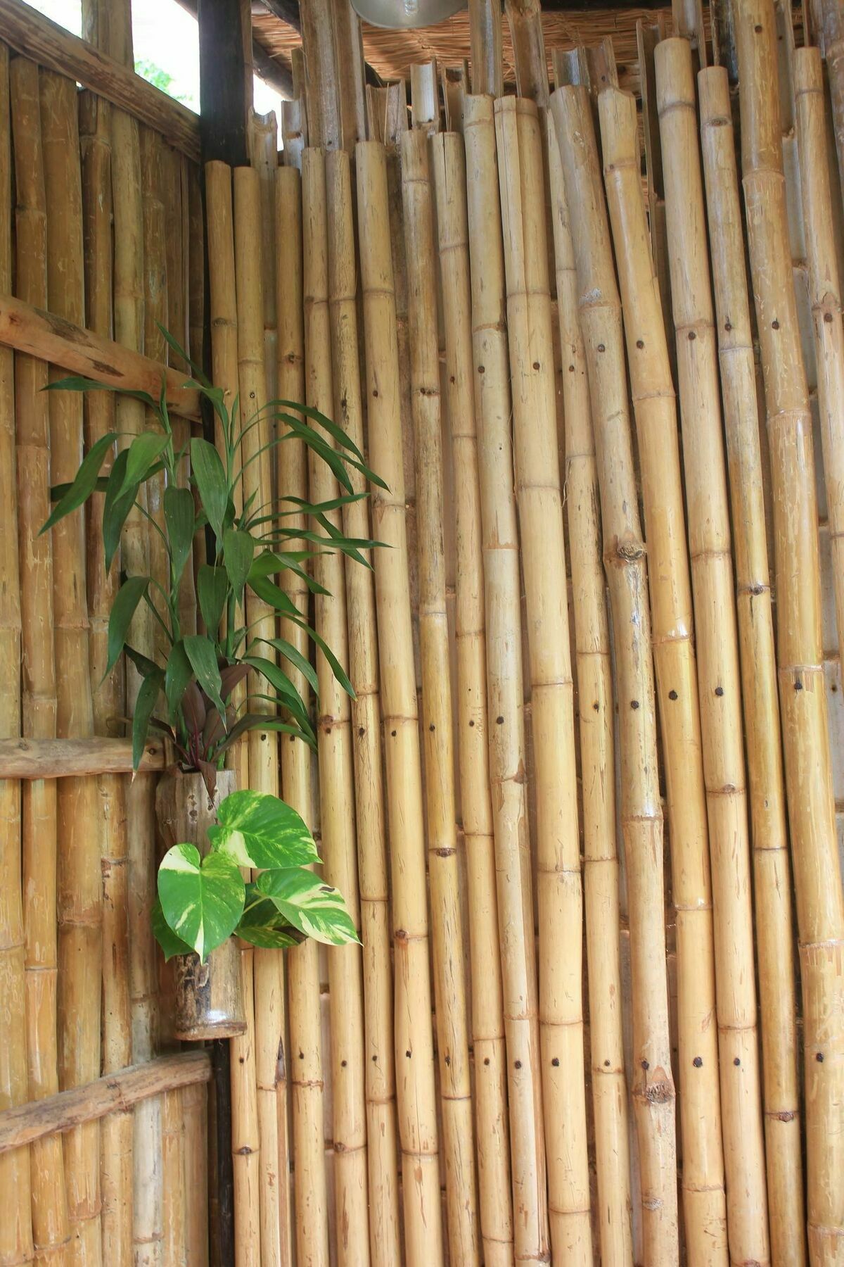 Battambang Dream Bungalows Ngoại thất bức ảnh