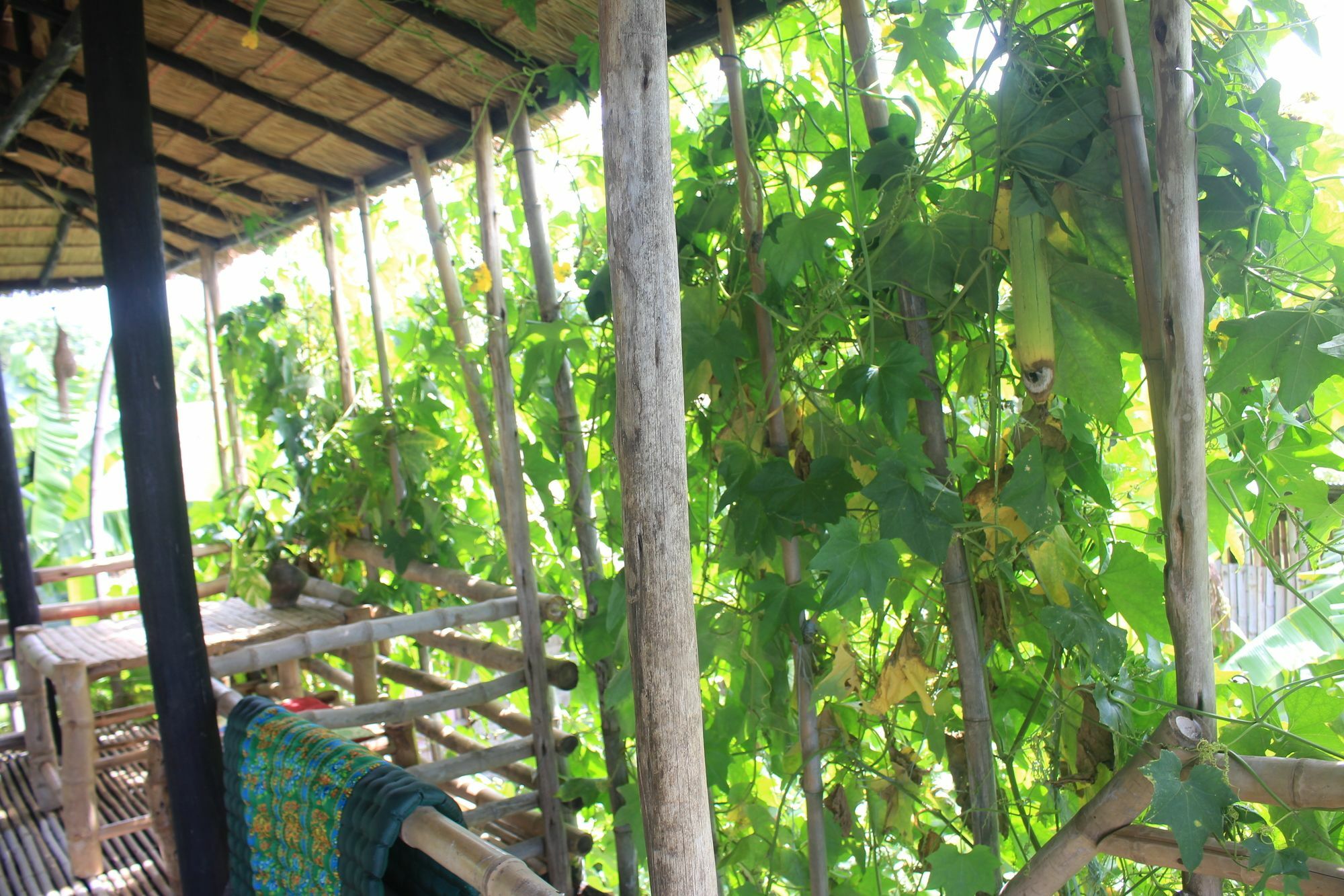 Battambang Dream Bungalows Ngoại thất bức ảnh