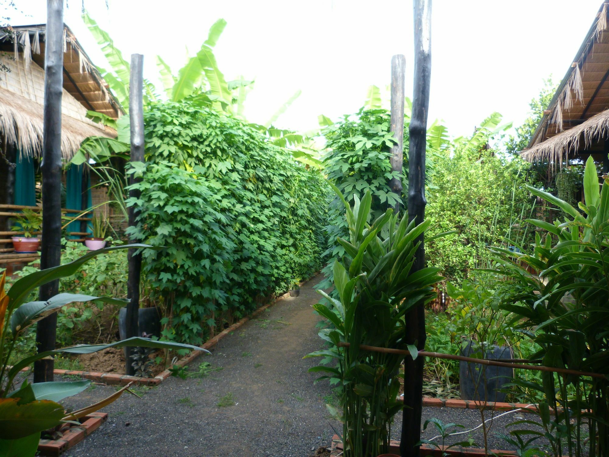 Battambang Dream Bungalows Ngoại thất bức ảnh